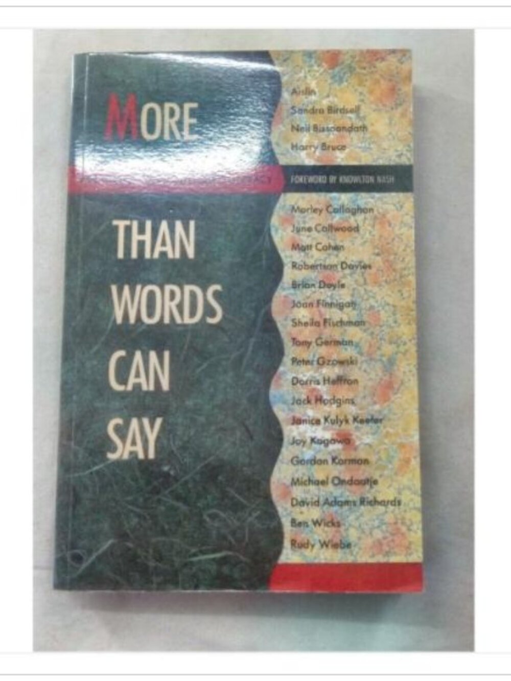 More Than Words Can Say: Personal Perspectives on Literacy Paperback Book Novel